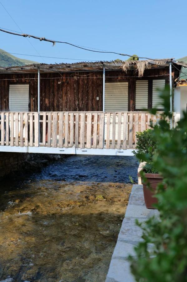 Tropikal Freskia Bunec Sarandë Buitenkant foto